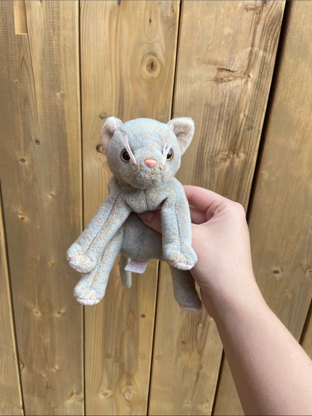 Scat the Cat Beanie Babies retired 1998